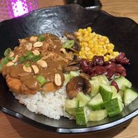 Chicken bowl with peanut sauce   at Vegan Temple Bar in Amsterdam