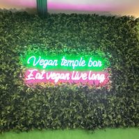   at Vegan Temple Bar in Amsterdam