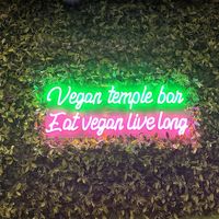   at Vegan Temple Bar in Amsterdam