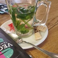  at Vegan Temple Bar in Amsterdam