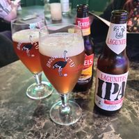 Cheers 🍻 at Vegan Temple Bar in Amsterdam