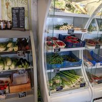 Farm shop fresh veg at The Fold in Worcester
