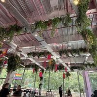   at Harajuku Kitchen in Edinburgh