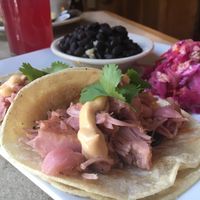 Banh Mi Jackfruit Tacos  at Laughing Seed Cafe in Asheville