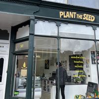 Street view  at Plant the Seed in Hastings