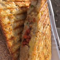  at Plant the Seed in Hastings