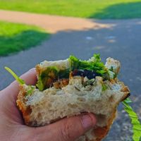  at Plant the Seed in Hastings