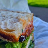  at Plant the Seed in Hastings