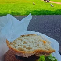  at Plant the Seed in Hastings