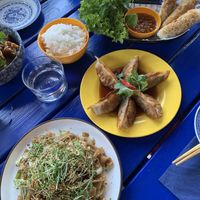 Gyoza & fried rolls   at Rau in Malmo