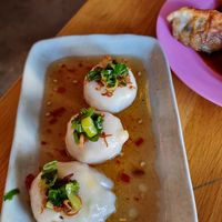 Boobies at Rau in Malmo