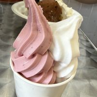   at Niu Soft Serve in Honolulu