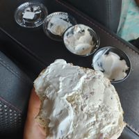 Half plain cream cheez and half red wine shallot butter everything bagel at BAM Bar in New Port Richey