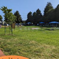  at The Hidden Cafe in Berkeley