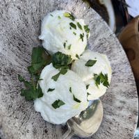 Toomb  at DishDash in Sunnyvale