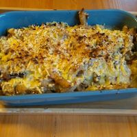 Witloof at Sassy's in Oostende