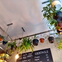 Plants 😍 at Itto in North London