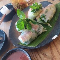 Springrolls at Itto - Stoke Newington in North London