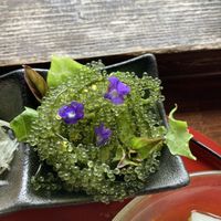 Gorgeous sea grape salad  at Yama-no-chaya Rakusui in Nanjo