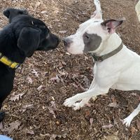 Hi cutie at ParkGrounds in Atlanta