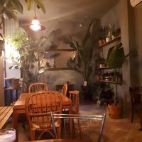 Interior at Bar Botánico - La Suegra del Jardinero in Barcelona