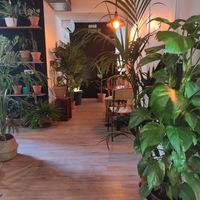 Local at Bar Botánico - La Suegra del Jardinero in Barcelona