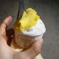Mango and coconut at Angelo del Gelato in Pavia