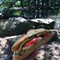 Avocado-Mozzarella-Ciabatta at Hempies - Odonien Biergarten in Cologne