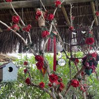 Detail at Aprazivel in Rio De Janeiro