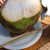 Coconut waterr  at Aprazivel in Rio De Janeiro