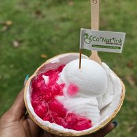 Red Ruby chestnut coconut at Co+Nut+ink - Siloso Point Station in Central Singapore