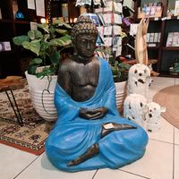 Shop: Buddha and books at Nurcha Kawana in Birtinya