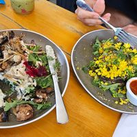  at Nurcha Kawana in Birtinya