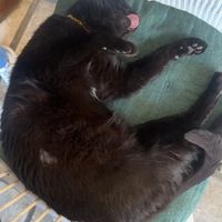   at Rubik's in Thessaloniki