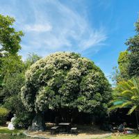One of the most beautiful places to have a meal. at An Nhien Garden in Hue