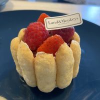   at Land & Monkeys - Amsterdam in Paris