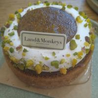 Pistachio citrus tart at Land & Monkeys - Amsterdam in Paris