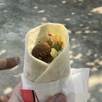   at Falafel House in Tirana