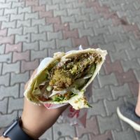   at Falafel House in Tirana