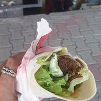  at Falafel House in Tirana
