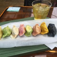 8 gyoza variety combo  at Vegan Gyoza Yu Cafe in Tokyo