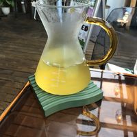 Jasmine tea!  at Vegan Gyoza Yu Cafe in Tokyo