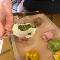   at Vegan Gyoza Yu Cafe in Tokyo