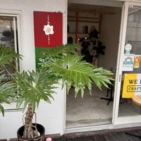   at Vegan Gyoza Yu Cafe in Tokyo