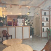   at Vegan Gyoza Yu Cafe in Tokyo