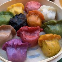   at Vegan Gyoza Yu Cafe in Tokyo