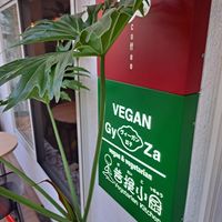  at Vegan Gyoza Yu Cafe in Tokyo