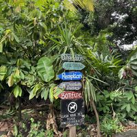   at El Pital in Ometepe