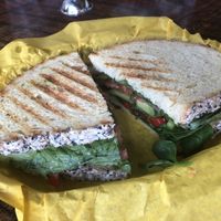 Vegan sandwich at Two Brothers Deli and The Yoga Room in Idaho Springs