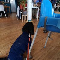  at Blue Bar in Porthtowan